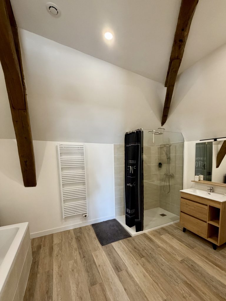 V6 Appart Domaine de Saint Ay - Salle de bain